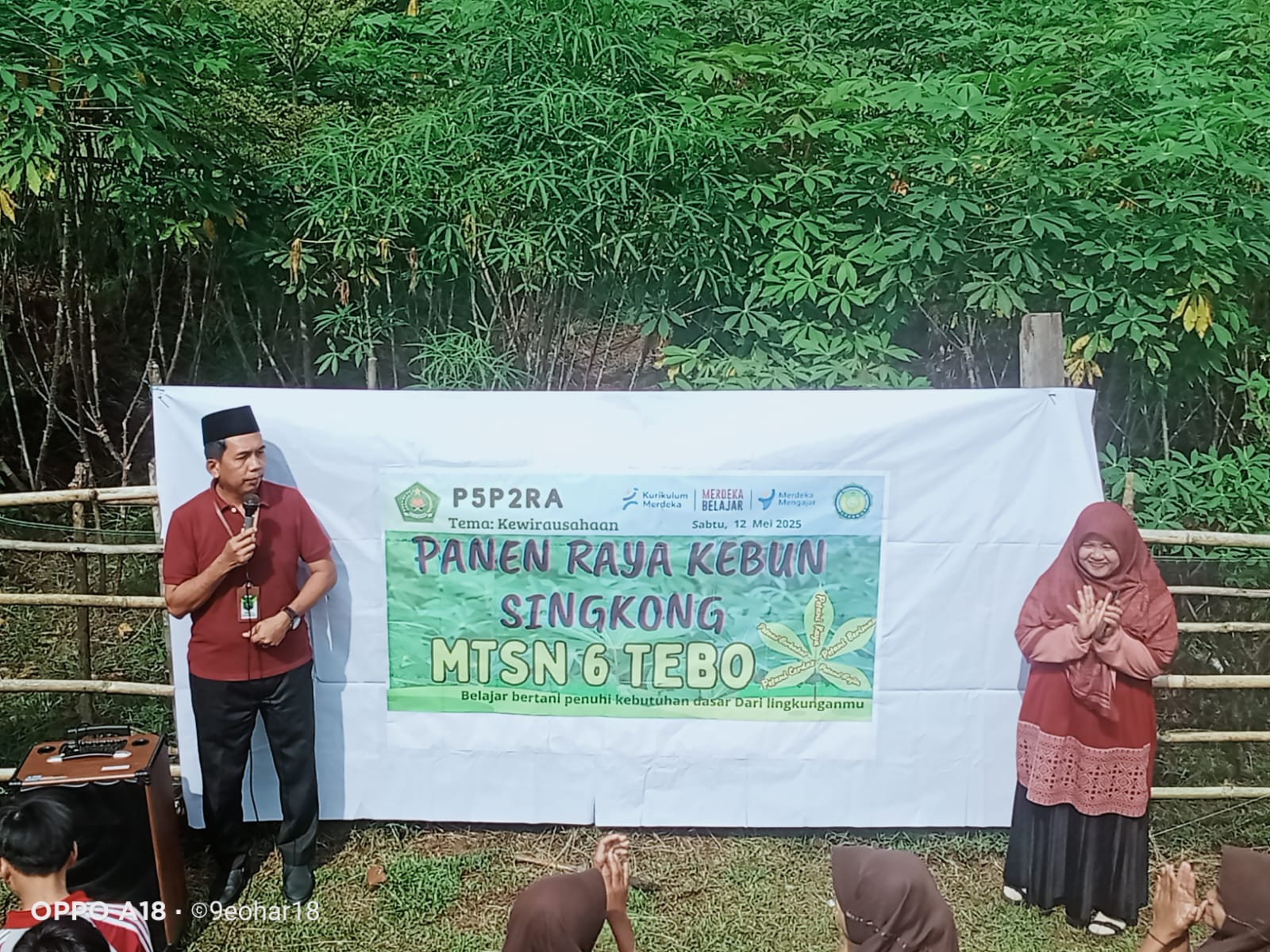 Panen Raya Singkong di MTsN 6 Tebo Bukan Kaleng-Kaleng, Ini Buktinya!